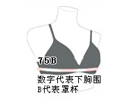 文胸胸罩尺码对照表